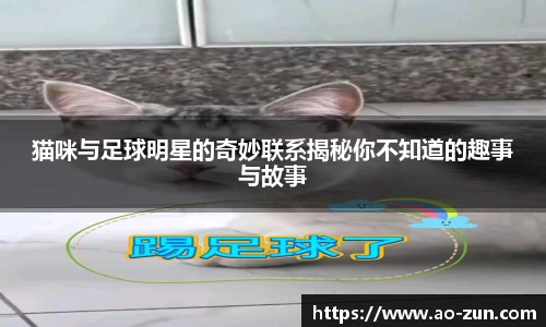 boyu博鱼体育官网