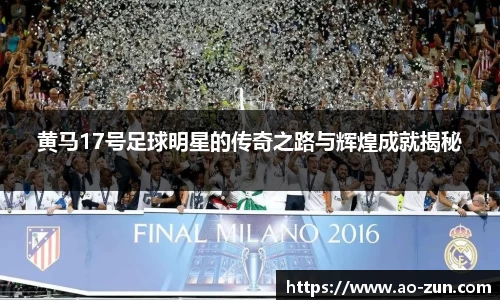 黄马17号足球明星的传奇之路与辉煌成就揭秘